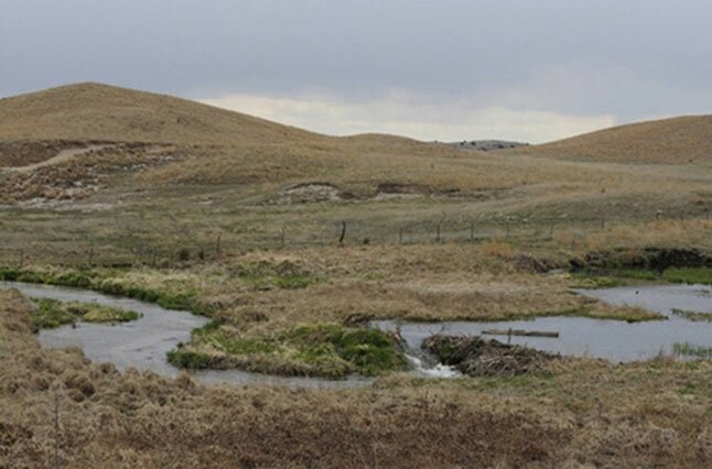 Sandhills Pairie